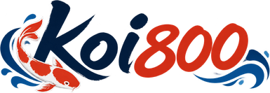 koi800 Logo